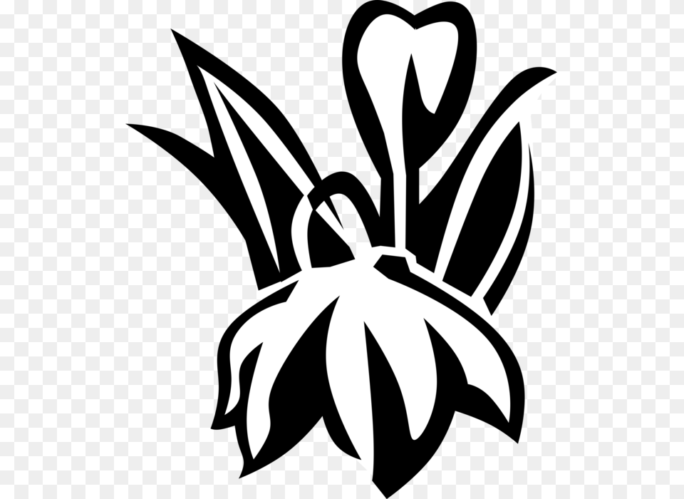 Vector Illustration Of Blue Eyed Grass Satin Flower Emblem, Stencil, Animal, Fish, Plant Png Image