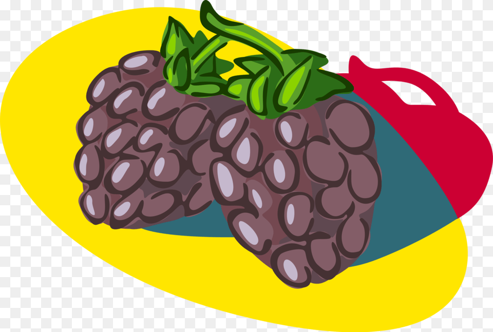 Vector Illustration Of Bramble Fruit Blackberry Edible Illustration, Berry, Food, Plant, Produce Free Transparent Png