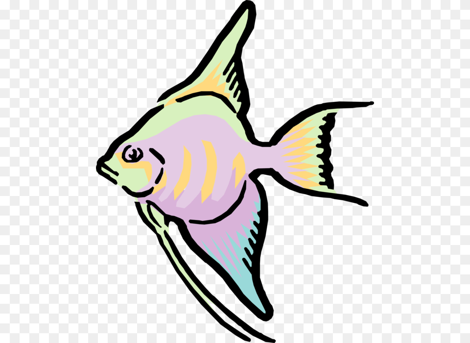 Vector Illustration Of Cartoon Colorful Tropical Fish Fish Gif Transparent Background, Angelfish, Animal, Sea Life, Person Png Image