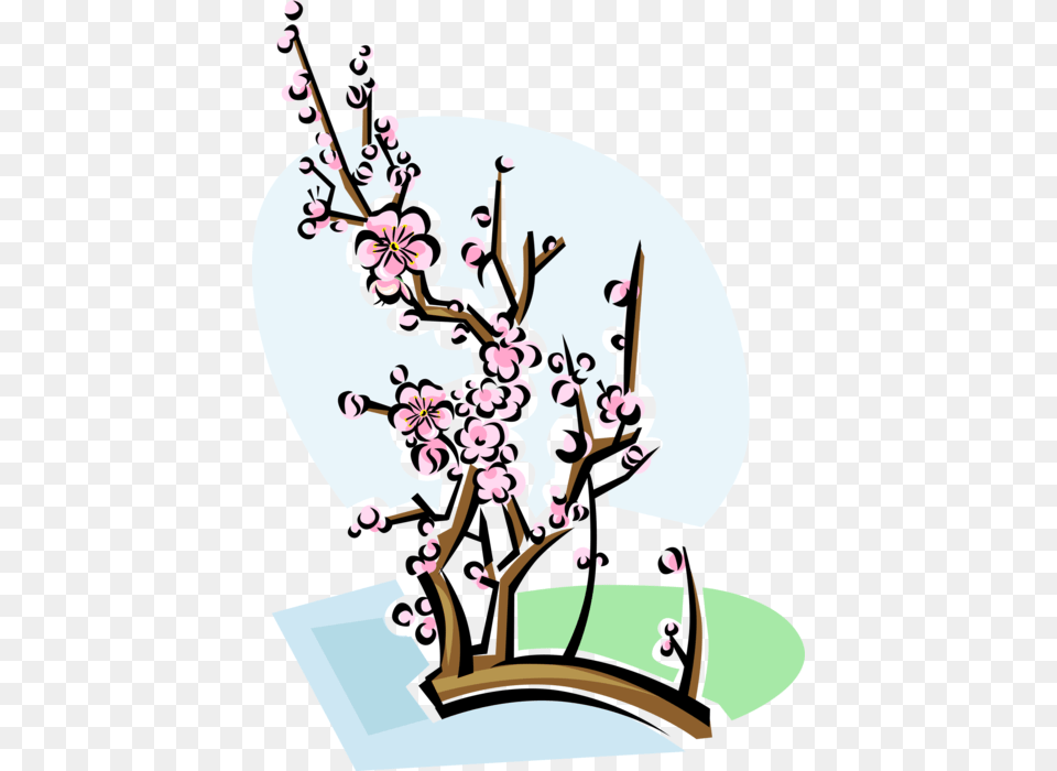 Vector Illustration Of Chinese Plum Blossom Flowering, Flower, Plant, Cherry Blossom, Flower Arrangement Free Png