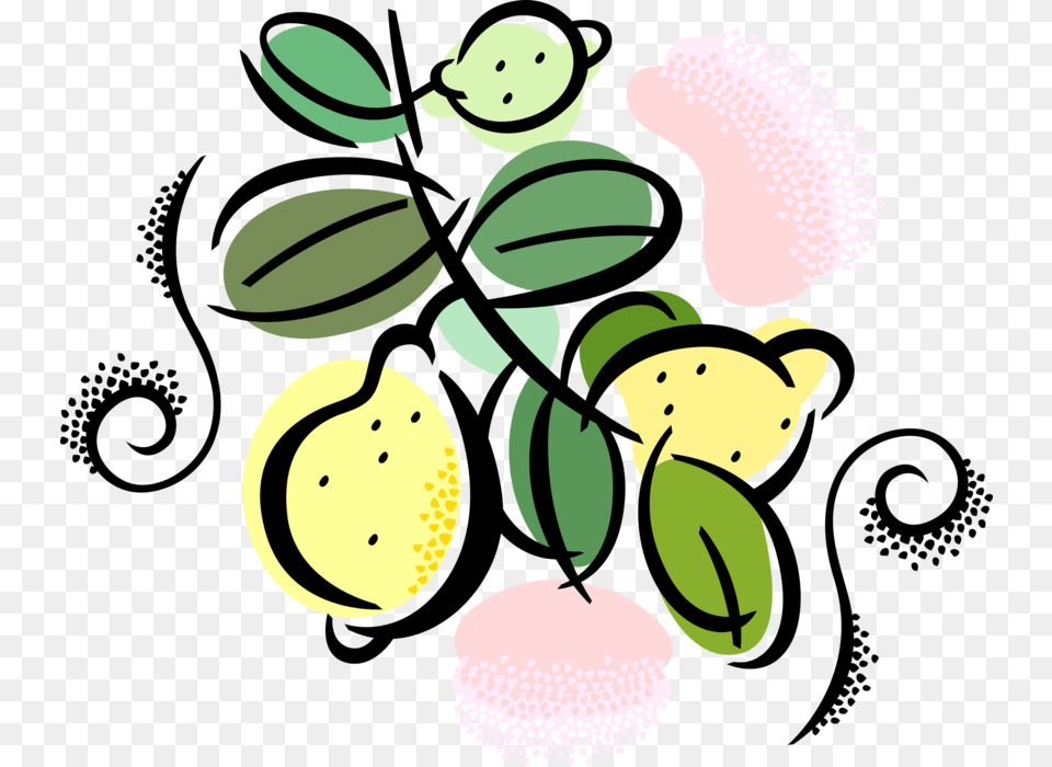 Vector Illustration Of Citrus Fruit Lemons Growing, Produce, Food, Plant, Flower Png