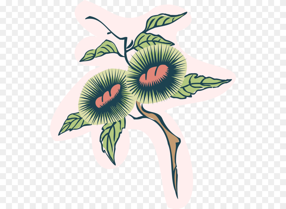 Vector Illustration Of Coffee Bean Plant Illustration, Pattern, Flower, Art, Graphics Free Png Download