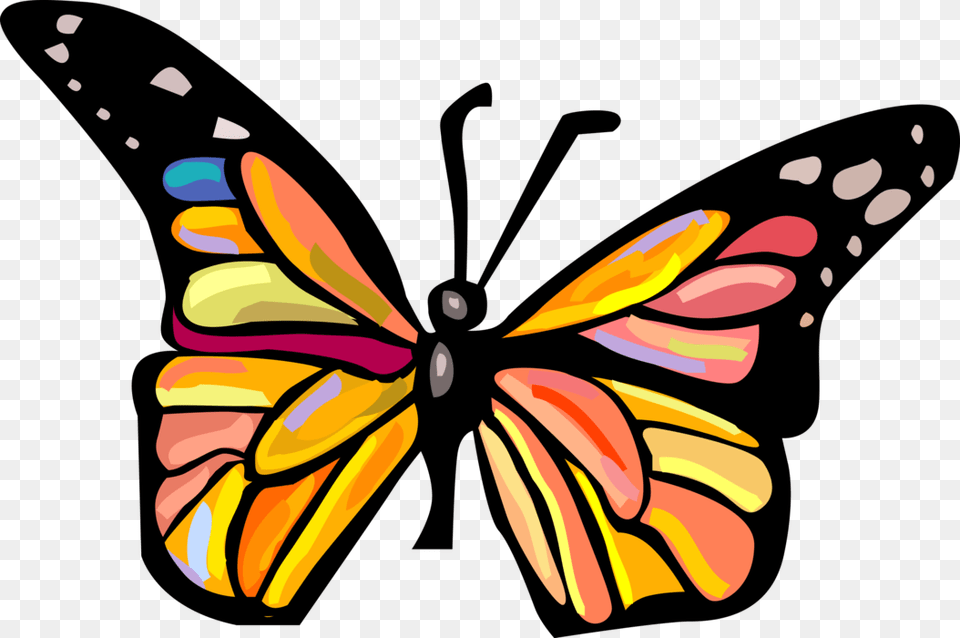 Vector Illustration Of Colorful Butterfly Winged Insect Informations Sur Le Papillon, Art, Graphics, Animal, Invertebrate Free Png
