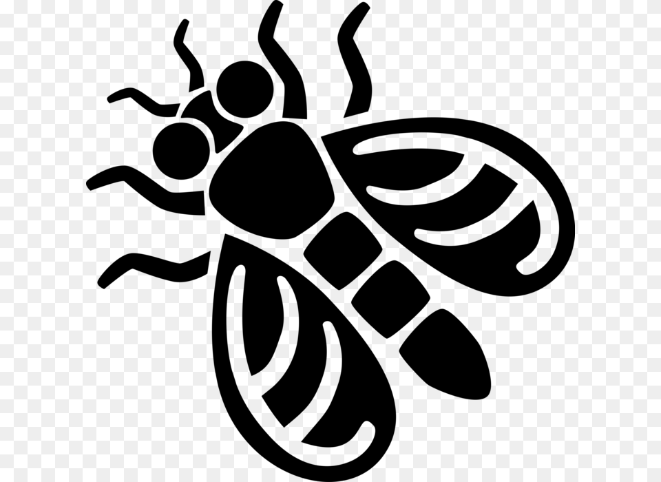 Vector Illustration Of Common Housefly Insect Fly Song, Gray Free Transparent Png
