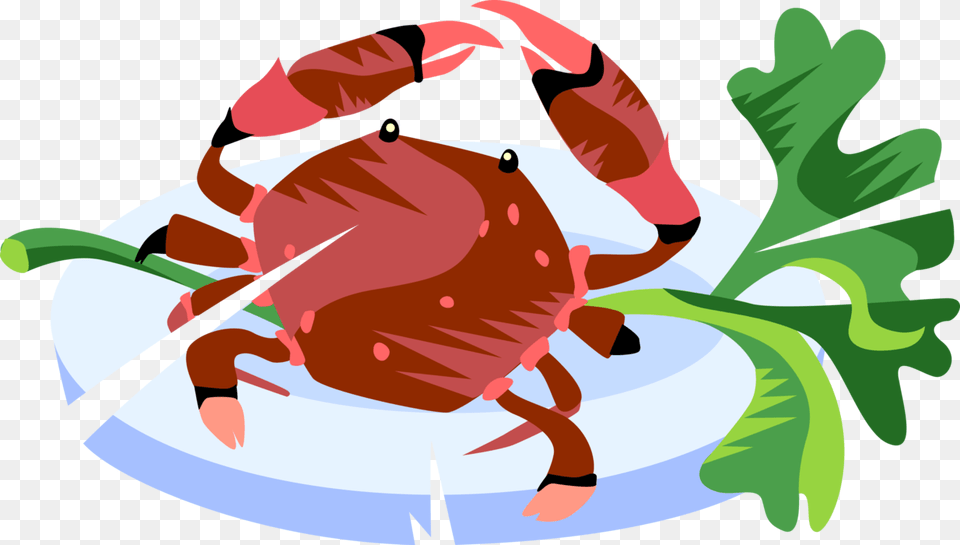 Vector Illustration Of Decapod Marine Crustacean Crab, Food, Seafood, Animal, Invertebrate Png Image