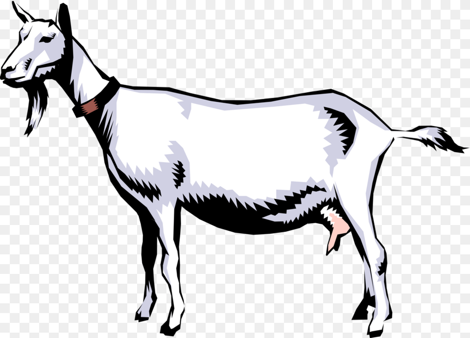 Vector Illustration Of Domestic Billy Goat Pygmy Goat Life Cycle, Livestock, Animal, Mammal, Dinosaur Free Transparent Png