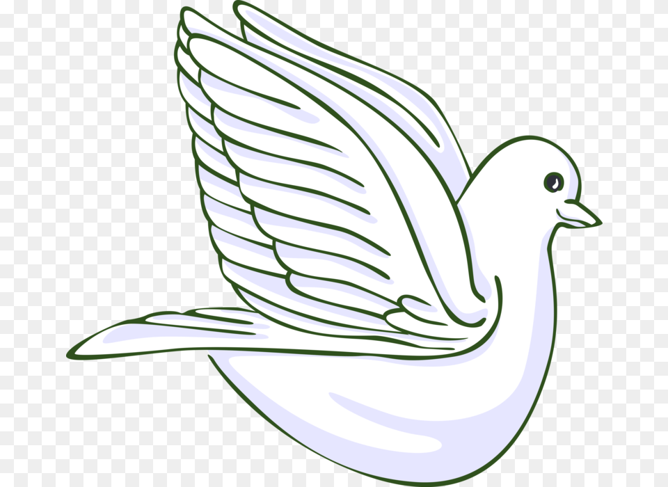 Vector Illustration Of Dove Bird Symbol Symbol Of Peace Still Life Photography, Animal, Pigeon Free Png Download