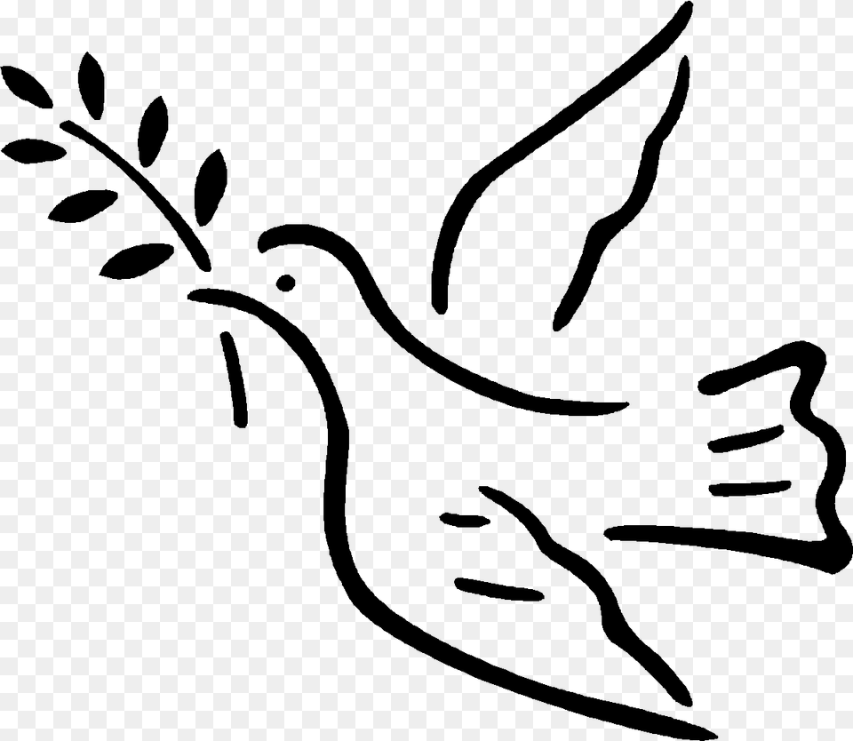 Vector Illustration Of Dove Bird With Olive Branch Dove Peace Vector, Gray Free Png Download