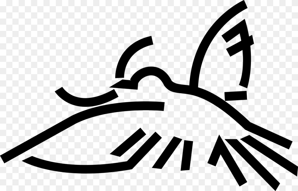 Vector Illustration Of Dove Of Peace Bird Secular Symbol Illustration, Gray Free Png