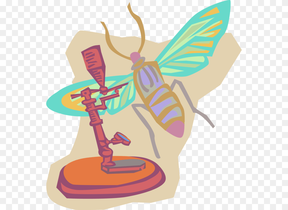 Vector Illustration Of Entomology Insect Research With, Animal, Bee, Invertebrate, Wasp Free Png Download