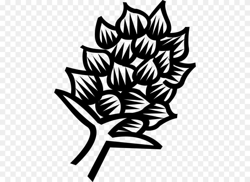 Vector Illustration Of Exotic Plant Flower, Gray Png