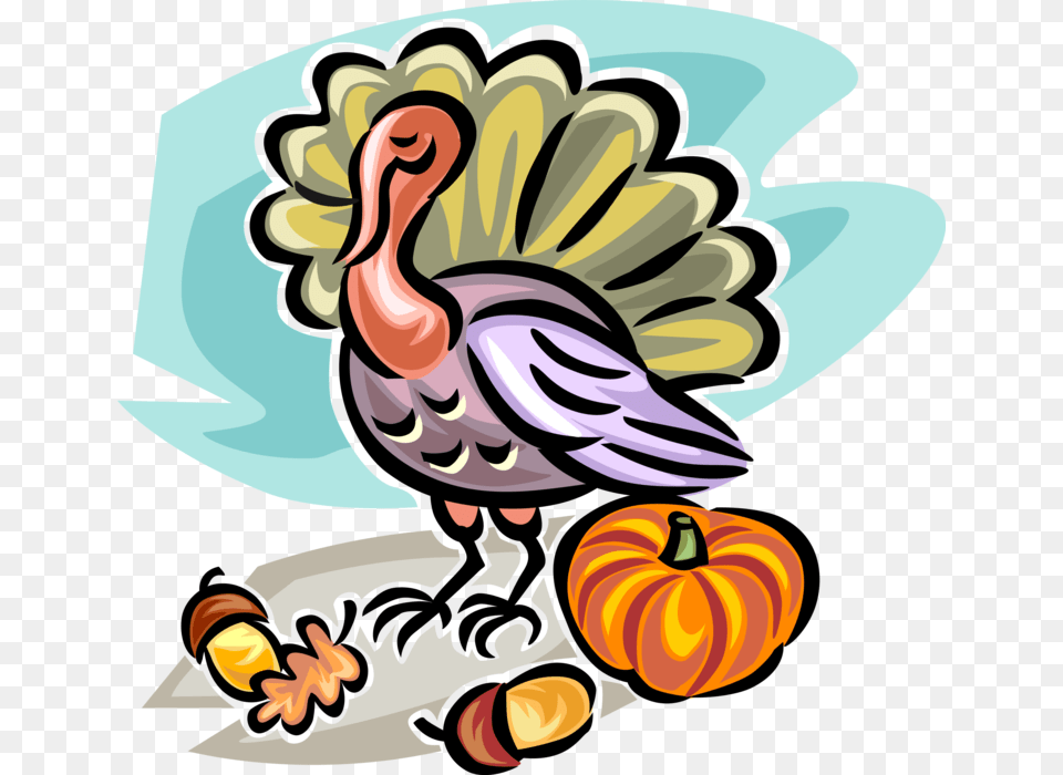 Vector Illustration Of Fall Or Autumn Harvest Pumpkin Turkey, Animal, Beak, Bird, Face Png