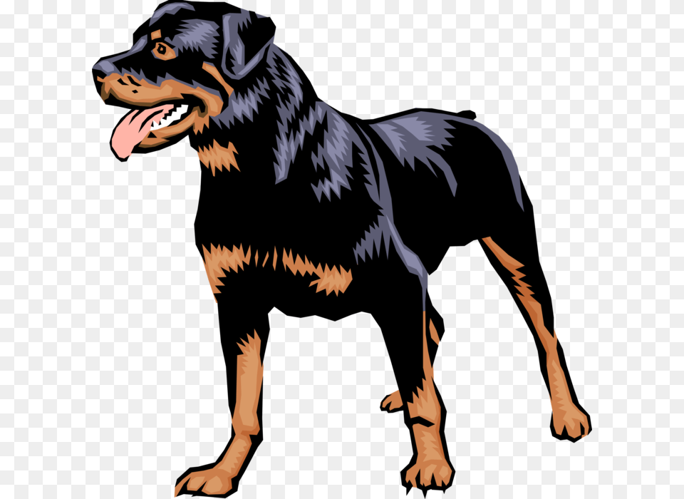 Vector Illustration Of Family Pet Rottweiler Guard 3drose 3drose Cute And Cuddly Canine Rottweiler Two, Animal, Dinosaur, Reptile, Person Free Transparent Png