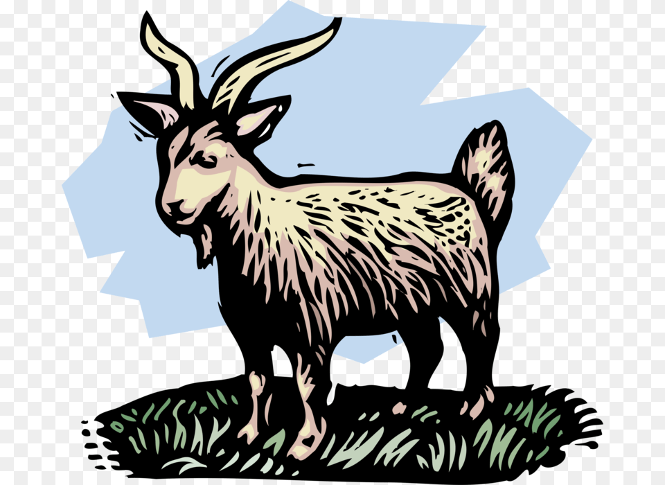 Vector Illustration Of Farm Scene Livestock Billy Goat Animals In Proverbs, Animal, Mammal, Kangaroo Png Image