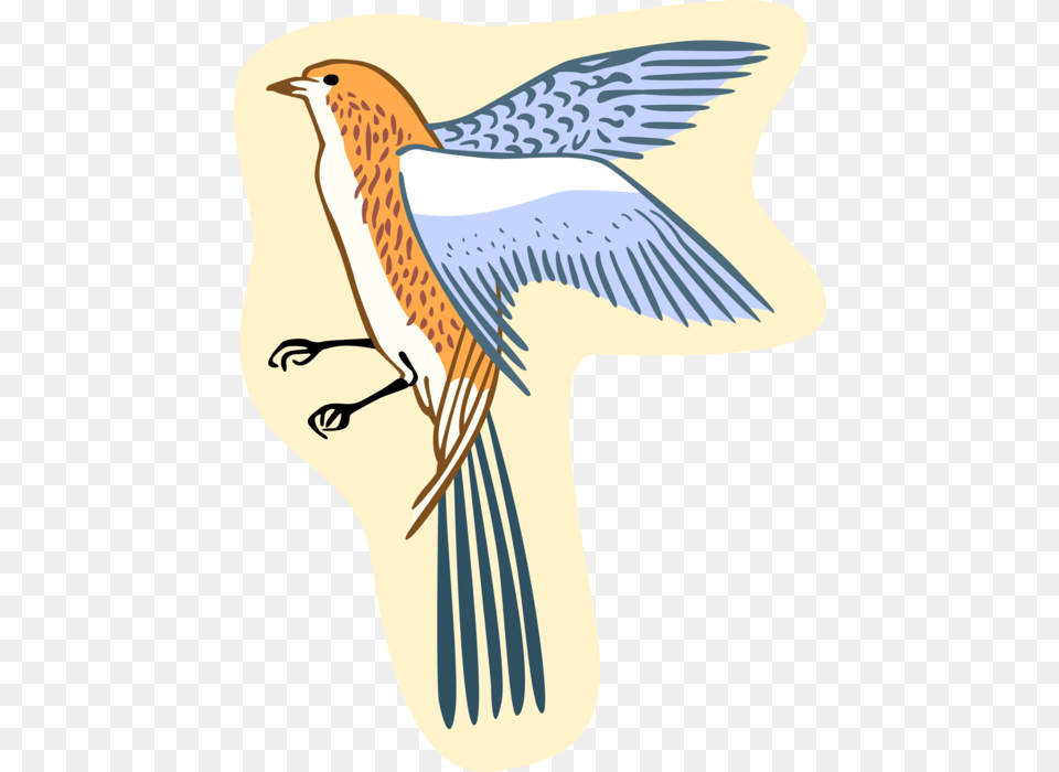 Vector Illustration Of Feathered Bird Perching Bird, Animal, Jay, Bluebird Free Transparent Png