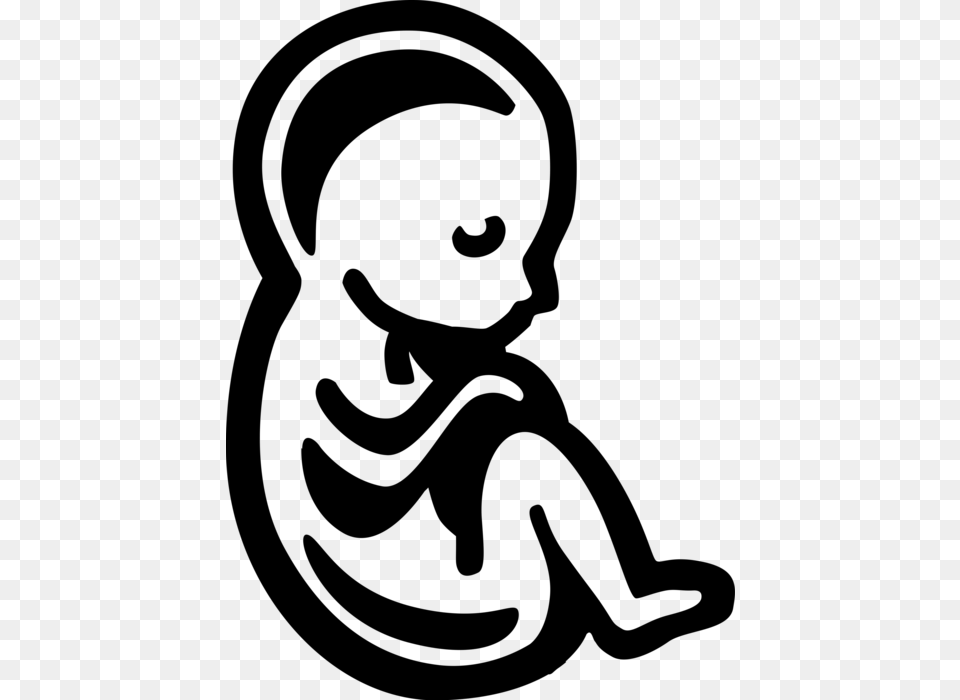 Vector Illustration Of Fetus Prenatal Human Between Fetus Clipart Background, Gray Png Image