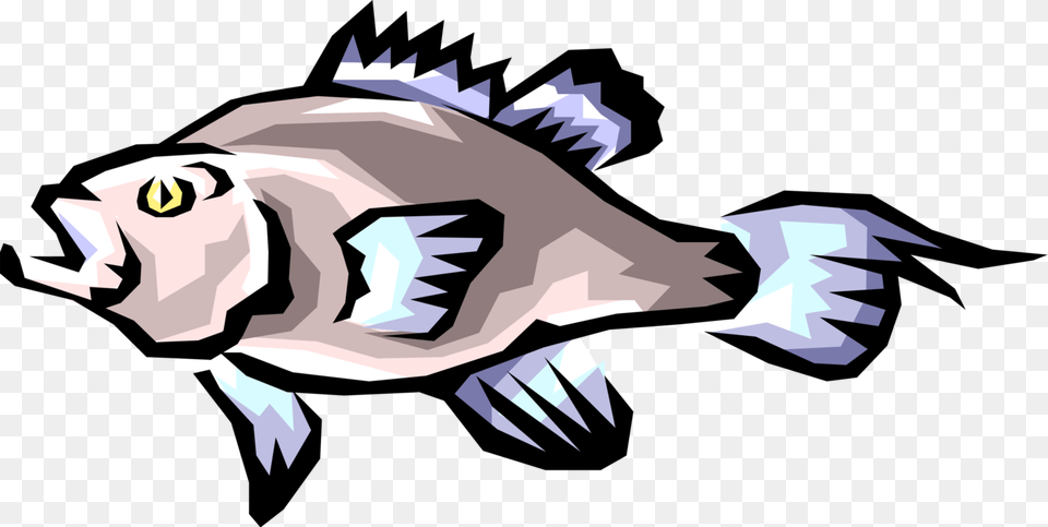 Vector Illustration Of Freshwater Gamefish Fish Paratenic Host, Animal, Sea Life Png