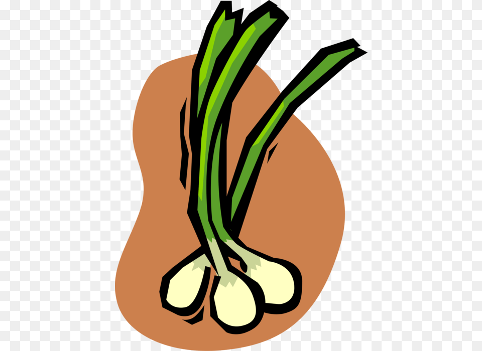 Vector Illustration Of Green Scallion Onion Vegetable Green Onions Clipart, Food, Produce, Animal, Fish Free Png