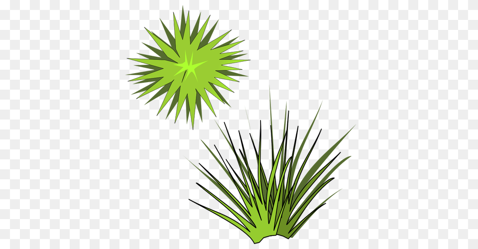 Vector Illustration Of Green Spiky Plant With Green Sun Above, Grass, Fireworks, Light Free Png Download
