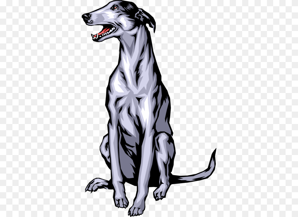 Vector Illustration Of Greyhound Race Dog Sitting Greyhound Dog Clipart, Adult, Female, Person, Woman Free Png Download