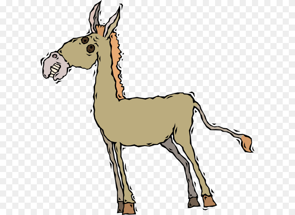 Vector Illustration Of Jackass Male Donkey Ass Domesticated, Animal, Mammal, Adult, Female Free Png Download