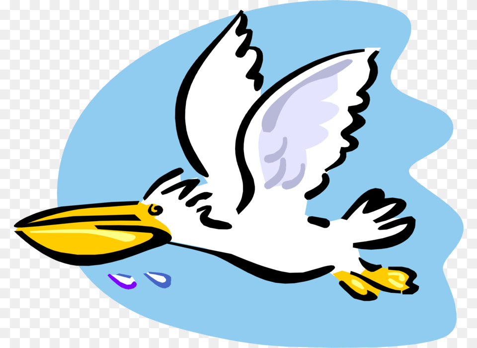 Vector Illustration Of Large Water Bird Pelican Flying Cartoon Pelican Flying, Animal, Beak, Waterfowl, Baby Free Png Download