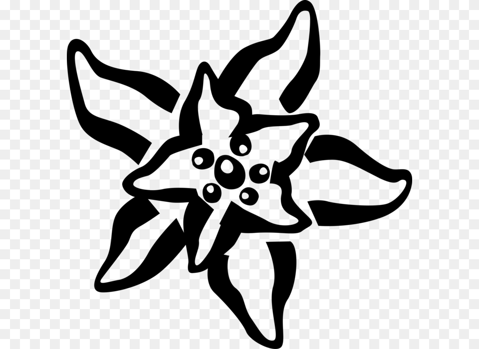 Vector Illustration Of Marine Invertebrate Starfish, Gray Png