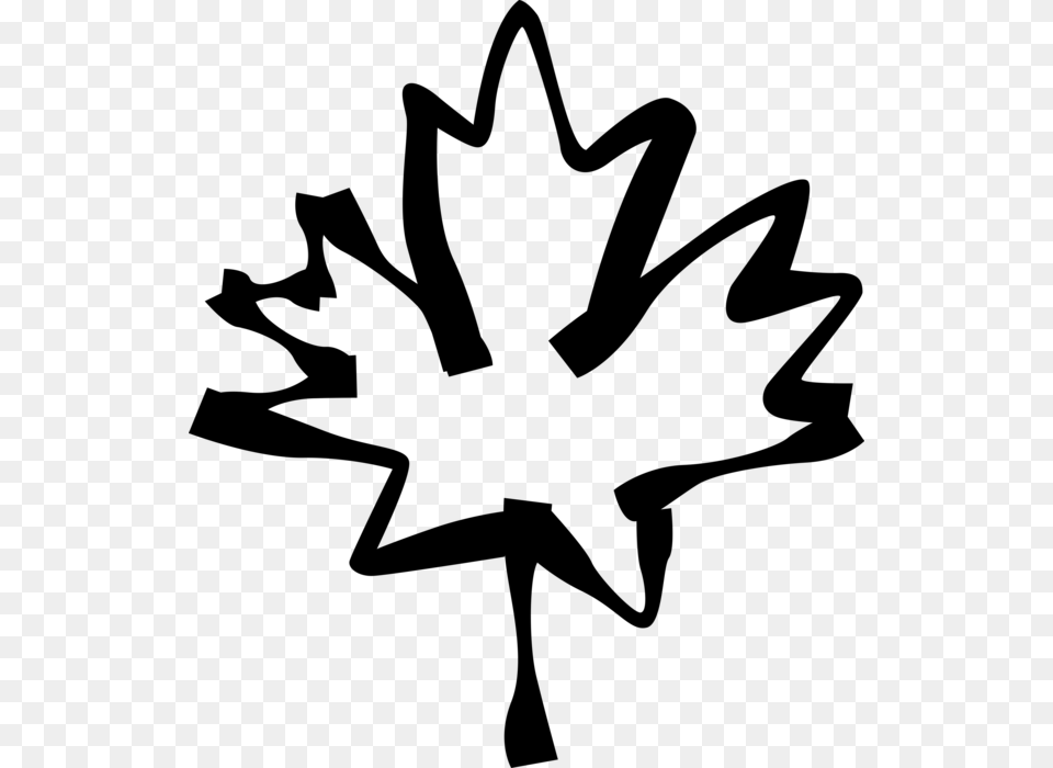 Vector Illustration Of National Symbol Of Canada Canadian, Gray Png