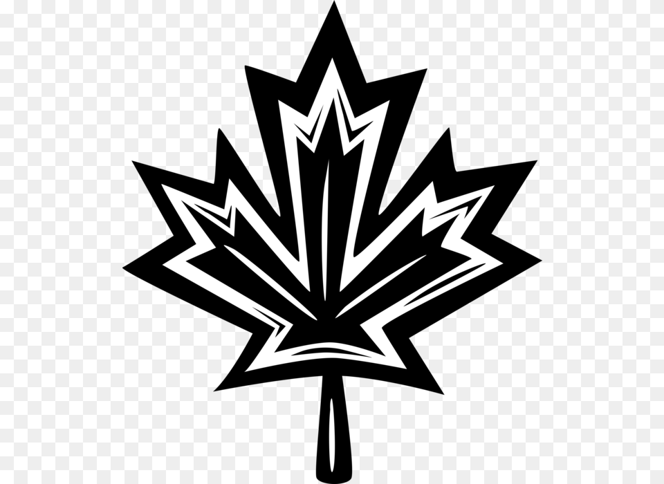 Vector Illustration Of National Symbol Of Canada Canadian Emblem, Leaf, Plant, Logo Png Image