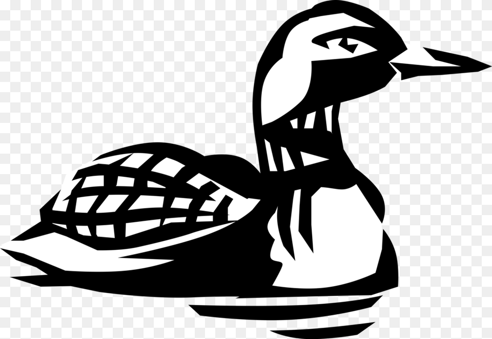 Vector Illustration Of North American Aquatic Diving Loon Vector, Stencil, Animal, Fish, Sea Life Png