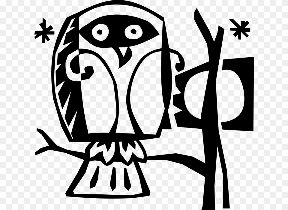 Vector Illustration Of Owl Nocturnal Bird Of Prey Sitting, Gray Png