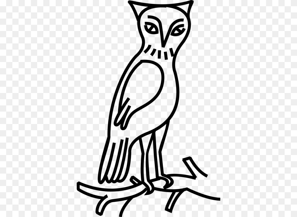 Vector Illustration Of Owl Nocturnal Bird Of Prey Stands Eastern Screech Owl, Gray Free Png