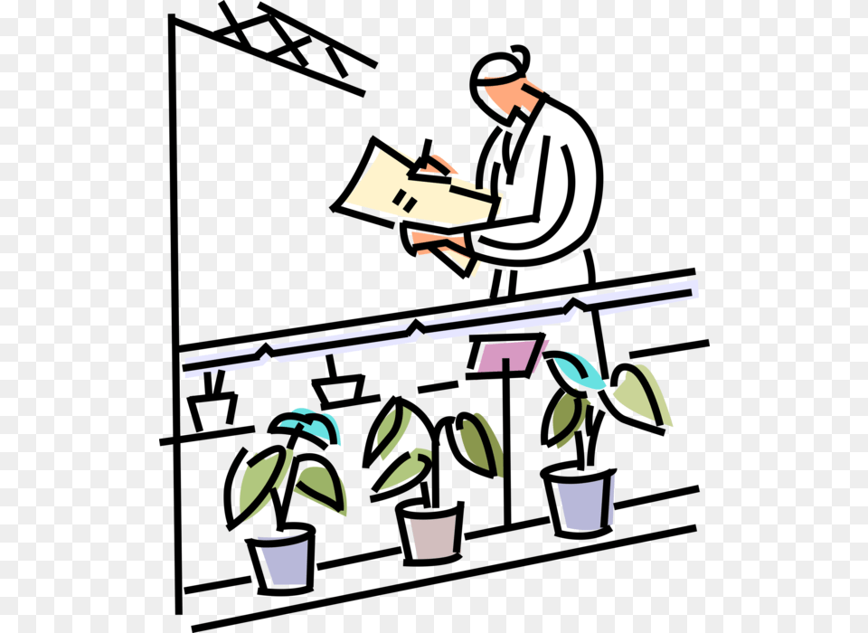 Vector Illustration Of Plant Biologist Studies Plant, Hardhat, Clothing, Helmet, Man Free Transparent Png