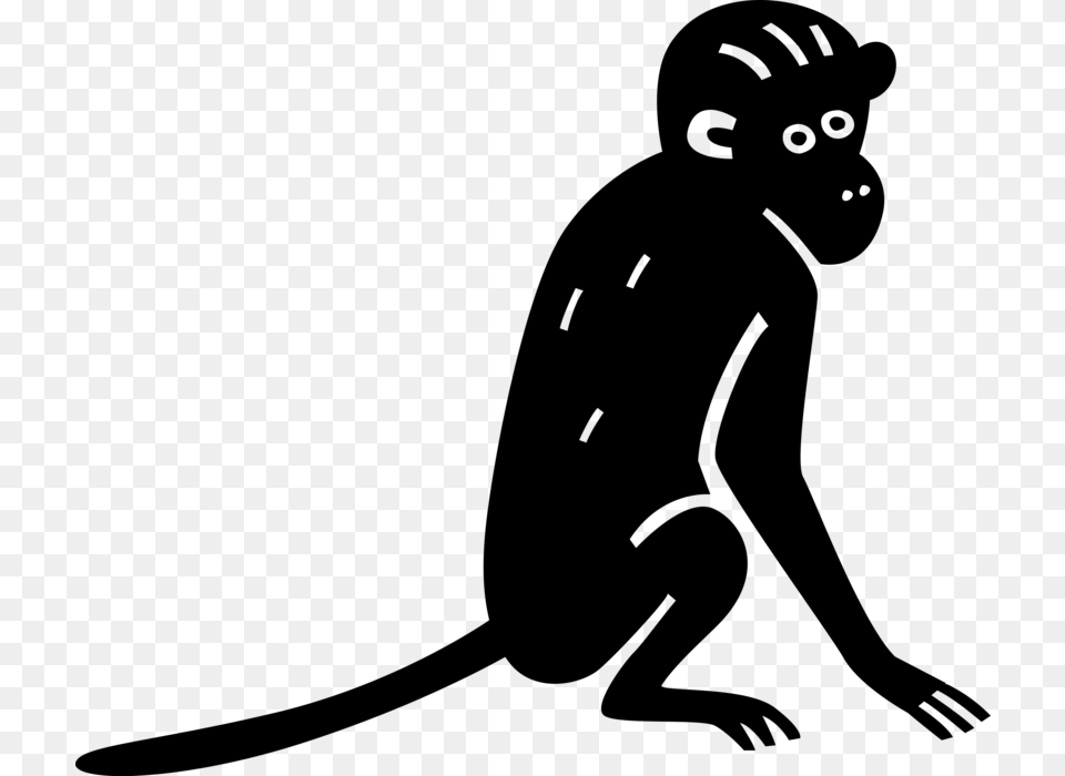 Vector Illustration Of Primate Monkey Ape, Gray Free Transparent Png