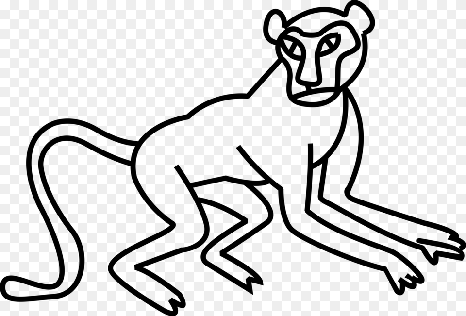 Vector Illustration Of Primate Monkey Ape Line Art, Gray Png Image