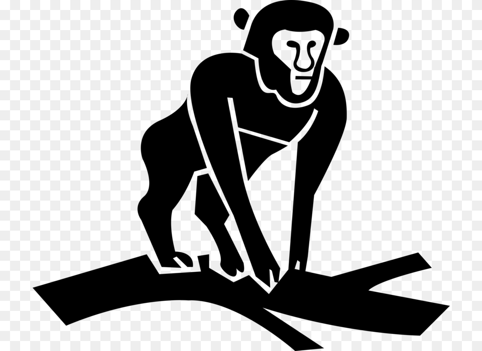 Vector Illustration Of Primate Monkey Ape On Tree Branch, Gray Free Png