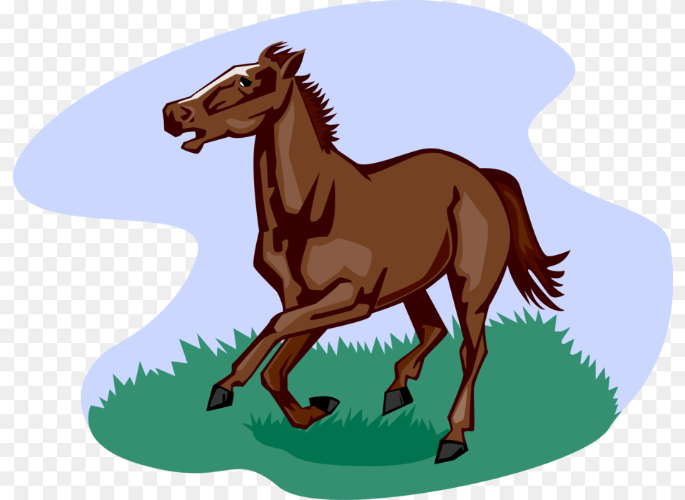 Vector Illustration Of Quadruped Equine Horse Running, Animal, Colt Horse, Mammal, Kangaroo Free Png Download