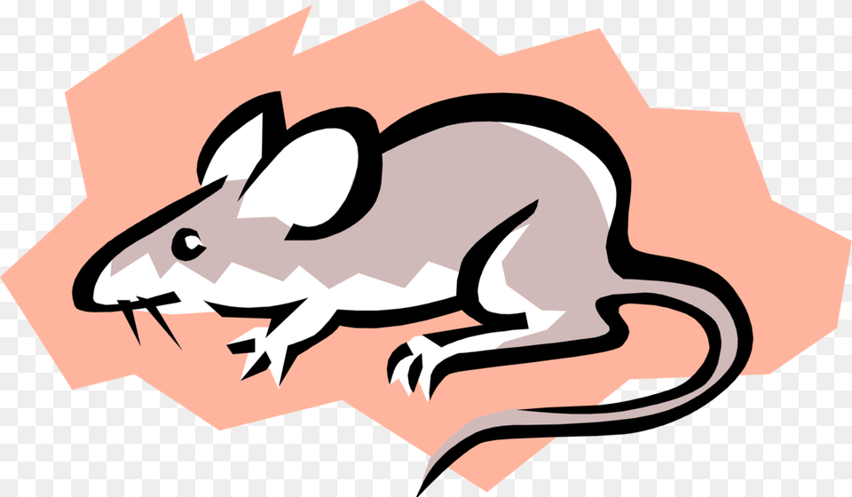 Vector Illustration Of Rodent Grey Mouse Cmo Se Pueden Contaminar Los Alimentos, Animal, Mammal, Rat, Fish Free Transparent Png