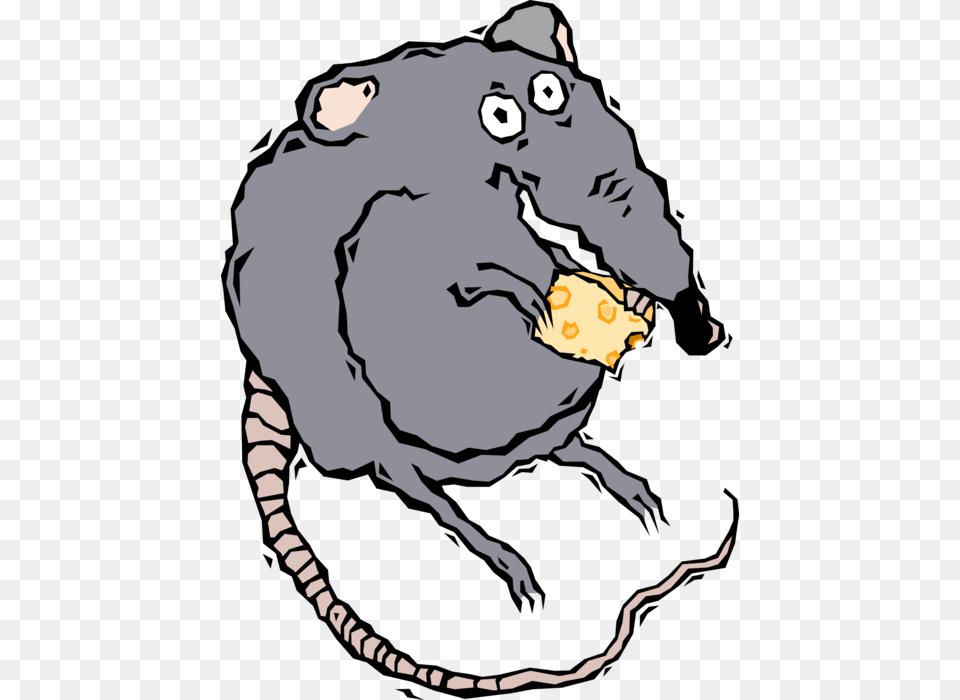 Vector Illustration Of Rodent Rat Eating Cheese, Baby, Person, Animal, Mammal Png Image