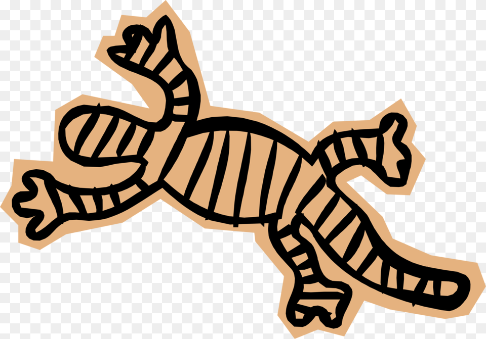 Vector Illustration Of Salamander Lizard Like Amphibian Illustration, Animal Png