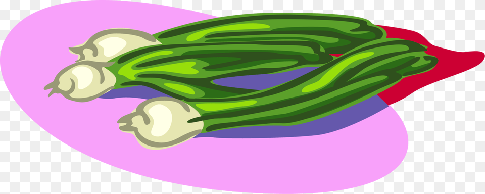 Vector Illustration Of Scallion Onion Shallot Vegetable Illustration, Food, Produce, Animal, Fish Free Png