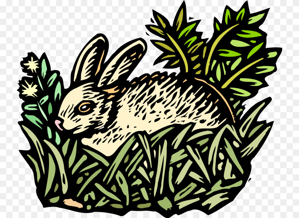 Vector Illustration Of Small Mammal Rabbit Lying In, Animal, Hare, Rodent, Face Png