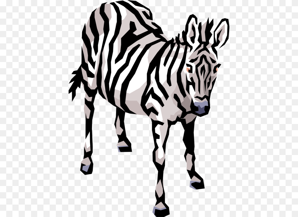Vector Illustration Of Striped African Zebra Horse Cliparts Of Animals To Download, Stencil, Baby, Person, Animal Png