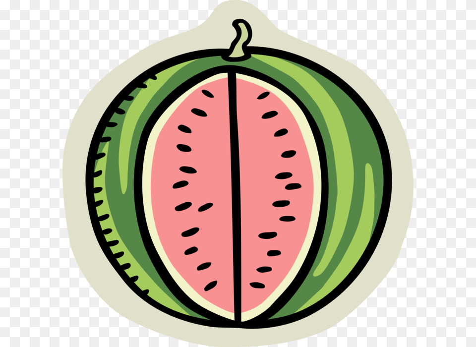 Vector Illustration Of Summer Melon Watermelon Edible Watermelon, Food, Fruit, Plant, Produce Free Transparent Png