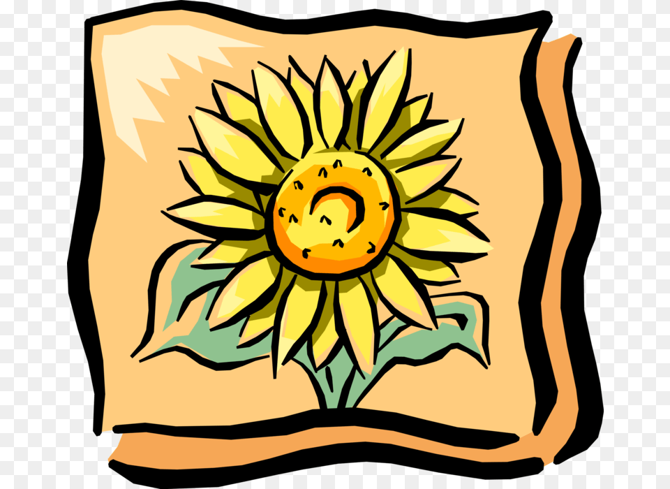 Vector Illustration Of Sunflower In Full Summer Bloom, Cushion, Flower, Home Decor, Plant Free Png
