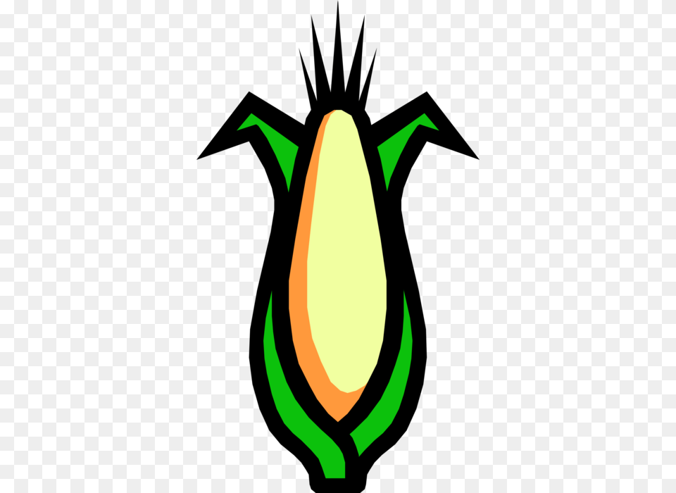 Vector Illustration Of Sweet Corn On The Cob Grain, Bud, Flower, Plant, Sprout Png