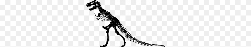 Vector Illustration Of The T Rex Growling, Gray Free Png Download