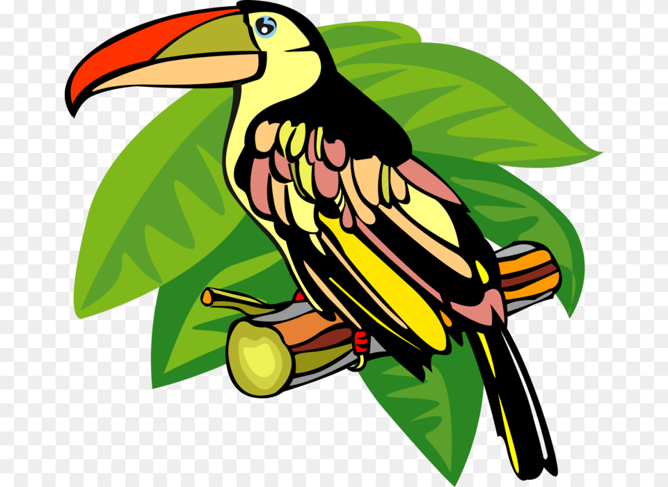 Vector Illustration Of Toucan Bird With Large Beak Toucan, Animal, Plant, Vegetation, Nature Free Png Download