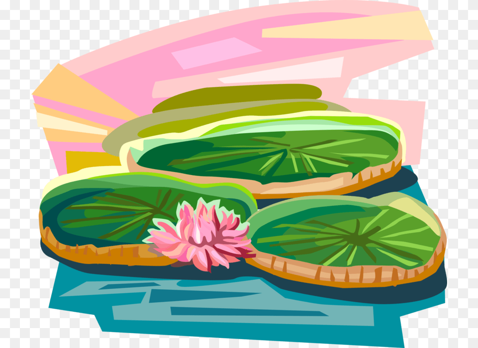 Vector Illustration Of Vitria Rgia Water Lilies Vitoria Regia, Food, Meal, Lunch, Art Png