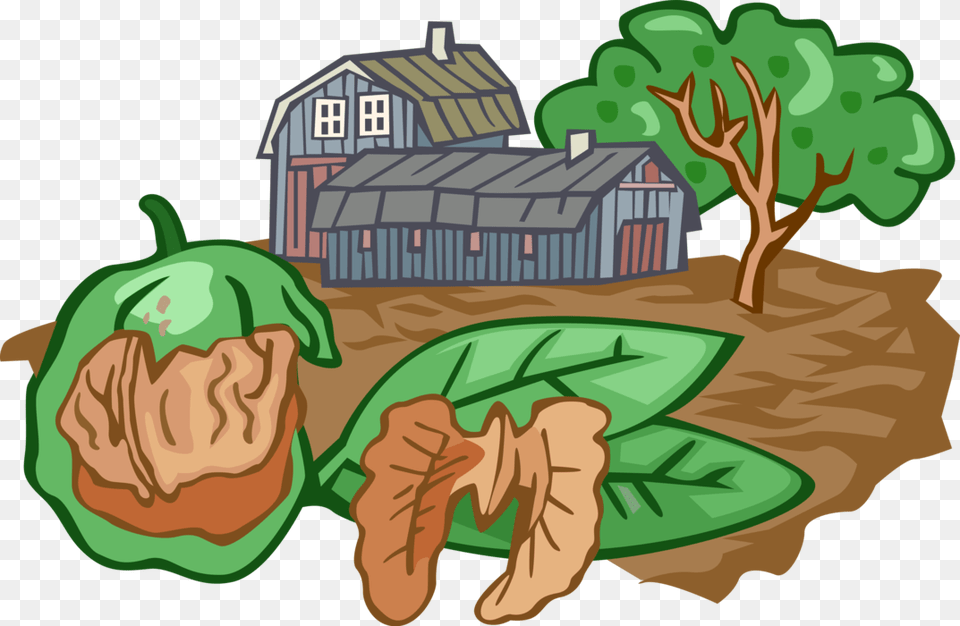 Vector Illustration Of Walnut Nut Farming With Barn, Nature, Outdoors, Countryside, Hut Png